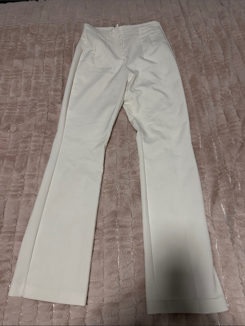 Zara Cream Wide-Leg Dress Pants